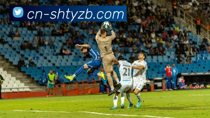 搜狐体育直播品牌故事